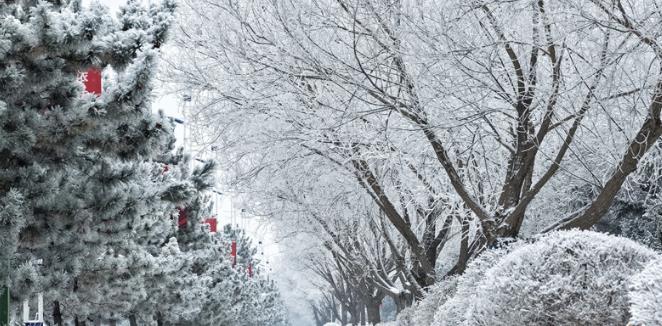 民乐县雪后雾凇：北国壮阔与温柔静谧交织