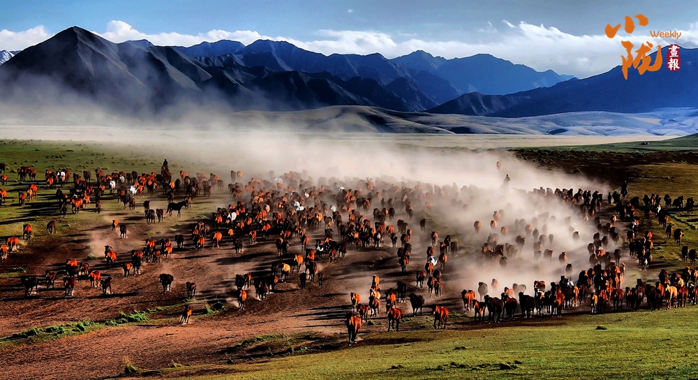 蹄印河西走廊：山丹马的千年牧歌